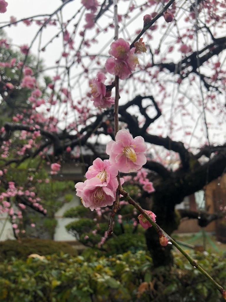 f:id:gn23u:20230220001835j:image