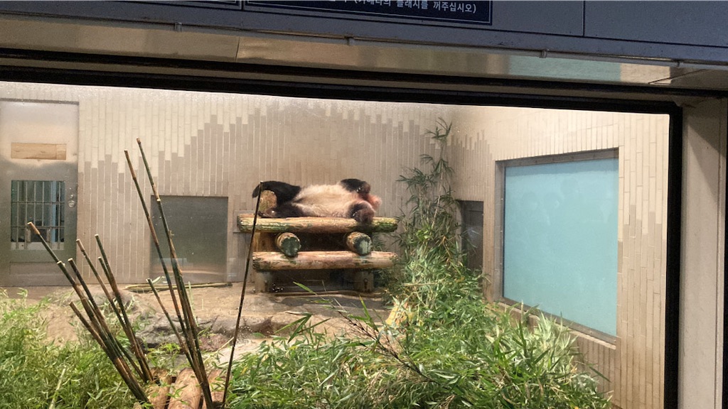 f:id:gn23u:20230220185011j:image