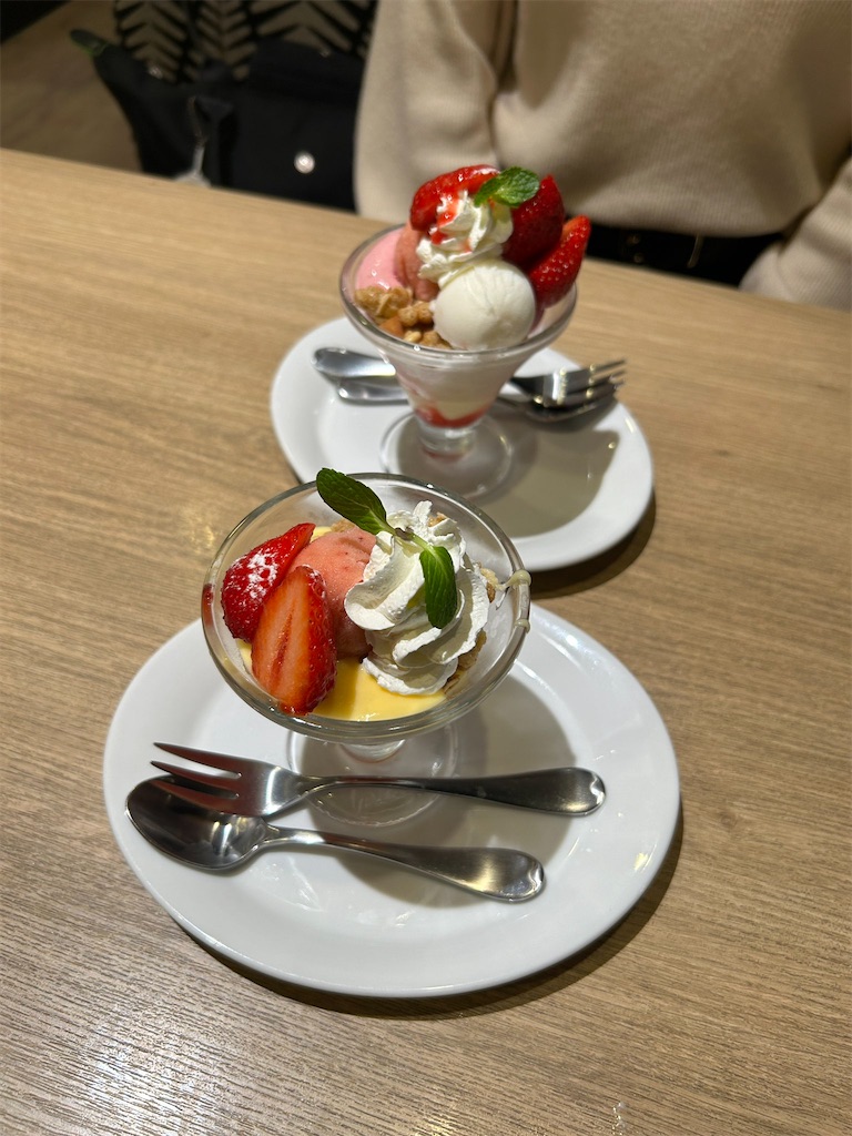 f:id:gn23u:20240219225447j:image