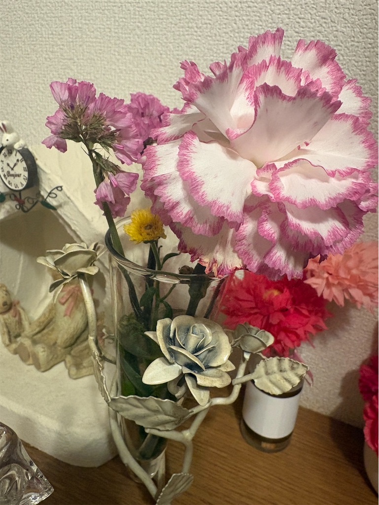 f:id:gn23u:20260219210347j:image