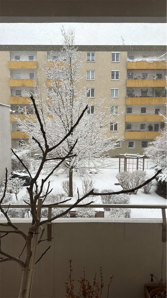 f:id:gn23u:20260221000643j:image