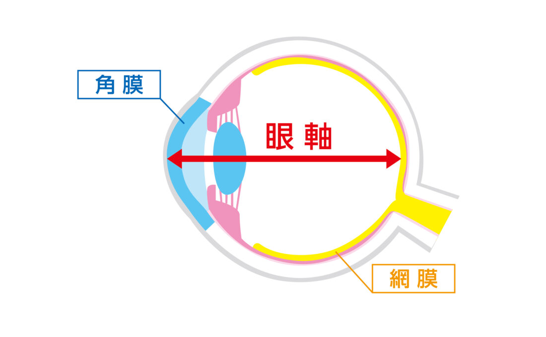 f:id:gnatkr:20220121011727p:plain