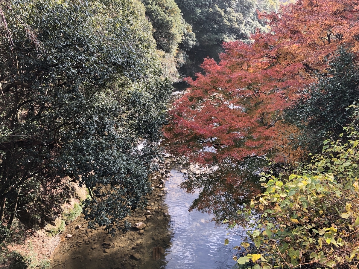 f:id:gntrua:20190403162951j:plain f:id:gntrua:20190403162951j:plain