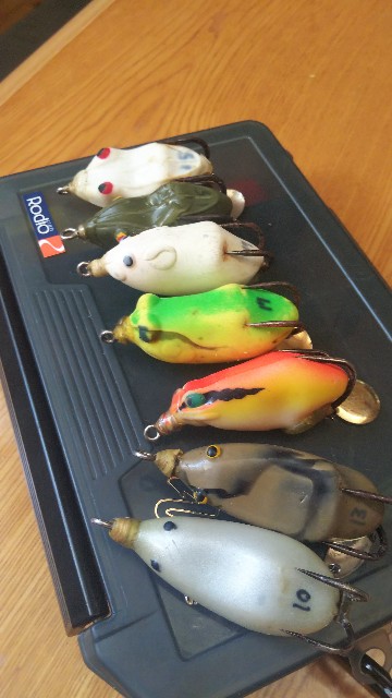 f:id:go-maru:20210919093757j:image