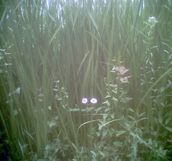 f:id:go-oga-4-21:20120520183002j:image:w360