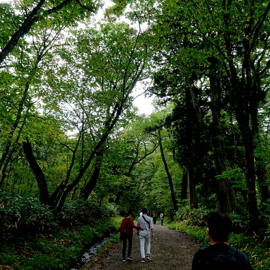f:id:go-shanghai:20200924183109j:plain