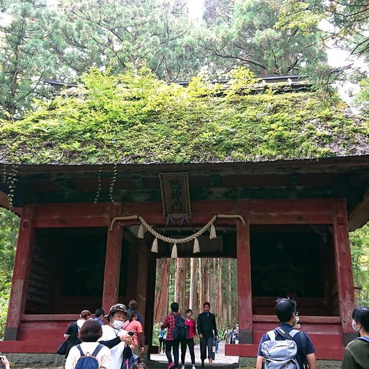 f:id:go-shanghai:20200924183120j:plain