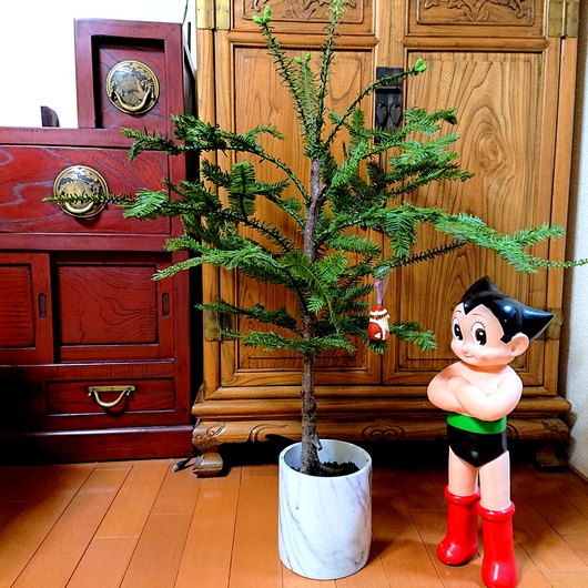 f:id:go-shanghai:20201019224855j:plain f:id:go-shanghai:20201019224855j:plain