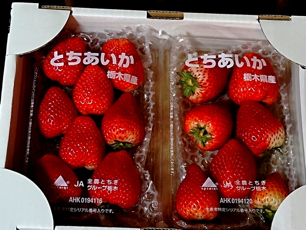 f:id:go-shanghai:20210315220308j:plain