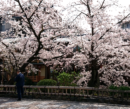f:id:go-shanghai:20210330171638j:plain
