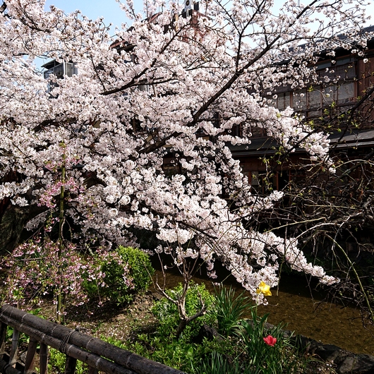 f:id:go-shanghai:20210330171659j:plain