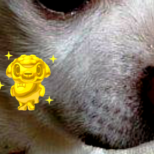 f:id:go-shanghai:20210504194542p:plain