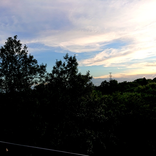 f:id:go-shanghai:20210819222941j:plain