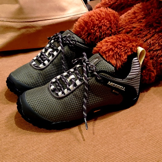 f:id:go-shanghai:20211103184818j:plain
