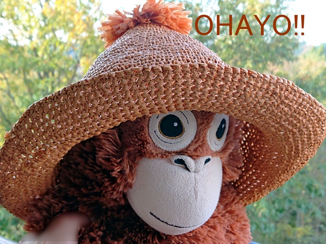f:id:go-shanghai:20211114083937j:plain