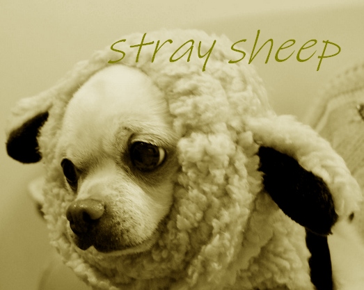 f:id:go-shanghai:20211222185121j:plain