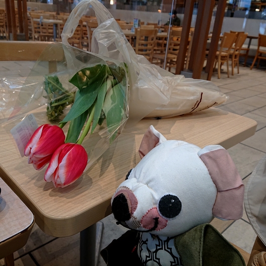 f:id:go-shanghai:20220302220221j:plain