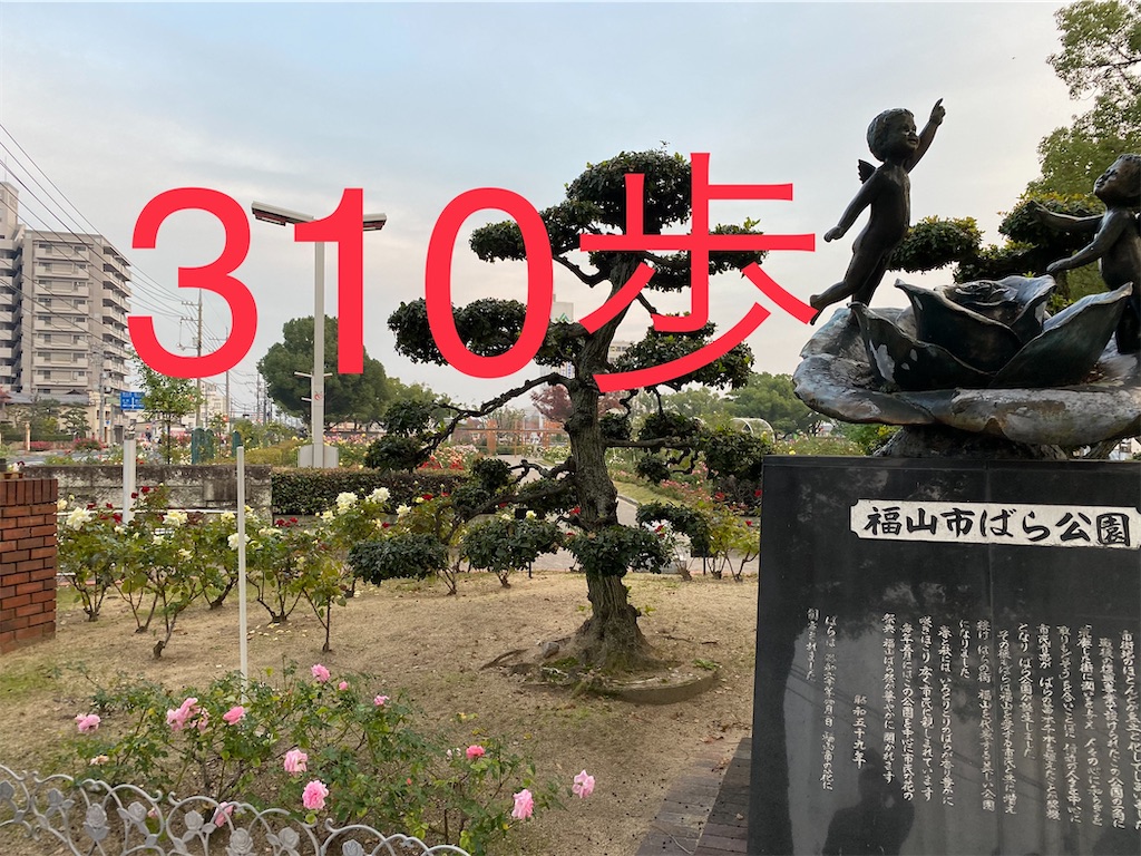 f:id:go-went-gone:20210106114425j:image f:id:go-went-gone:20210106114425j:image