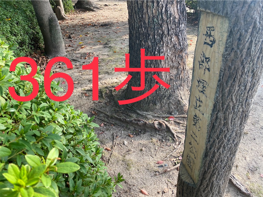 f:id:go-went-gone:20210106114630j:image f:id:go-went-gone:20210106114630j:image
