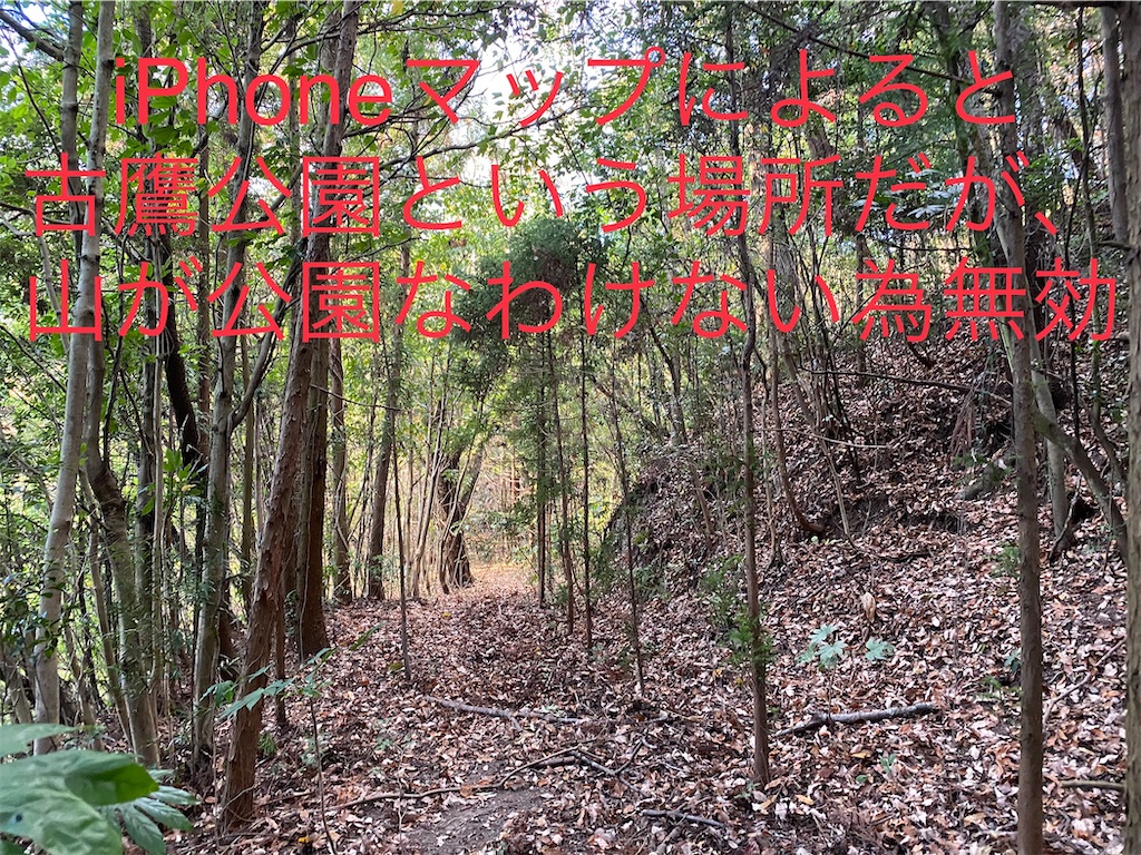 f:id:go-went-gone:20210106114753j:image f:id:go-went-gone:20210106114753j:image