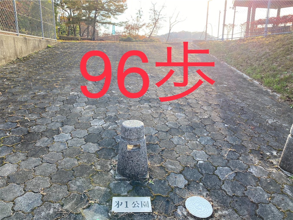 f:id:go-went-gone:20210106114759j:image f:id:go-went-gone:20210106114759j:image