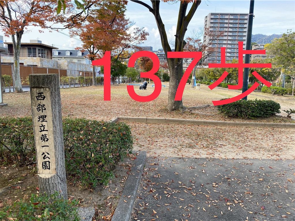 f:id:go-went-gone:20210106114802j:image f:id:go-went-gone:20210106114802j:image
