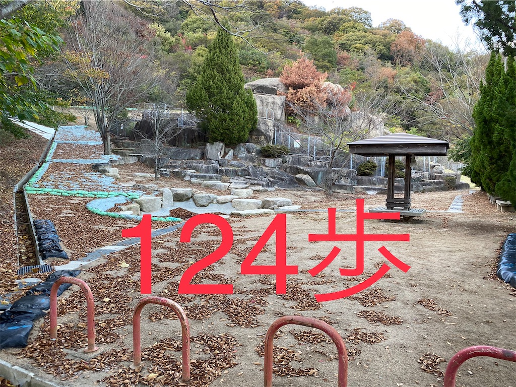 f:id:go-went-gone:20210106114846j:image f:id:go-went-gone:20210106114846j:image