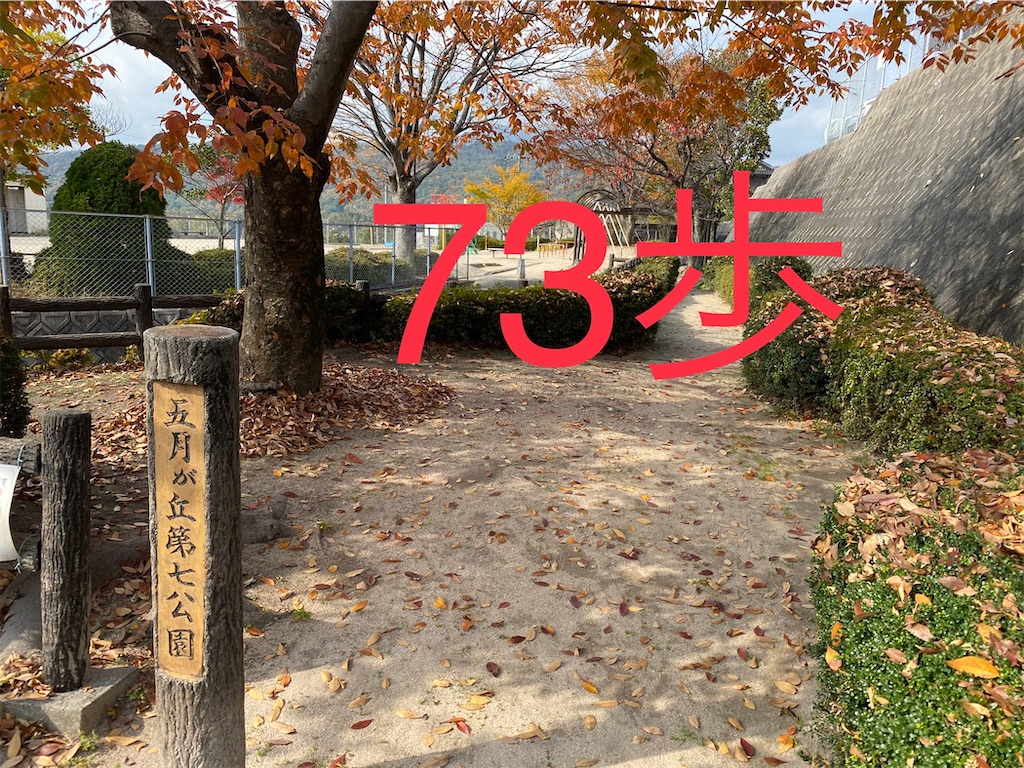 f:id:go-went-gone:20210106115034j:image f:id:go-went-gone:20210106115034j:image