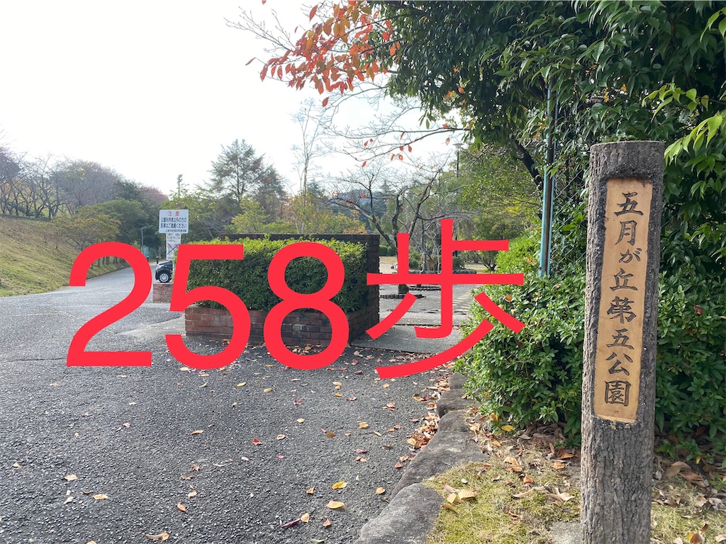 f:id:go-went-gone:20210106115346j:image f:id:go-went-gone:20210106115346j:image