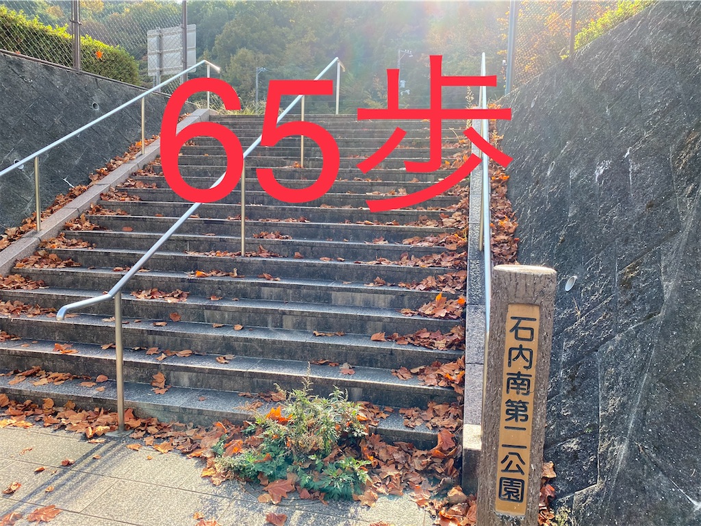 f:id:go-went-gone:20210106115451j:image f:id:go-went-gone:20210106115451j:image