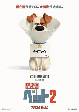 映画 ペット2 あらすじ 感想 ちょっとネタバレ 頭にはいつも家族の顔が ゴーヤの気ままに映画 映画 ペット2 あらすじ 感想 ちょっとネタバレ 頭にはいつも家族の顔が ゴーヤの気ままに映画