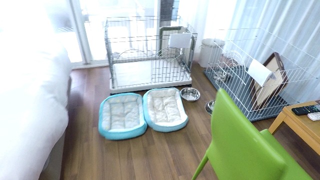 f:id:go-youtube:20181019171756j:image f:id:go-youtube:20181019171756j:image