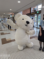 ベアドゥ
