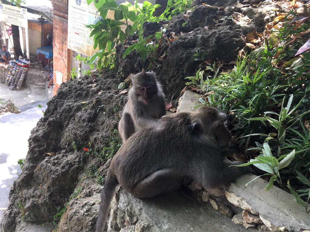 f:id:go_abroad:20180530153833j:image