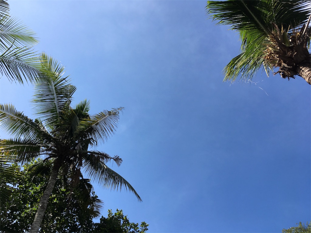 f:id:go_abroad:20180530180246j:image