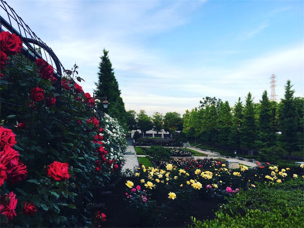 f:id:go_abroad:20180604150348j:image
