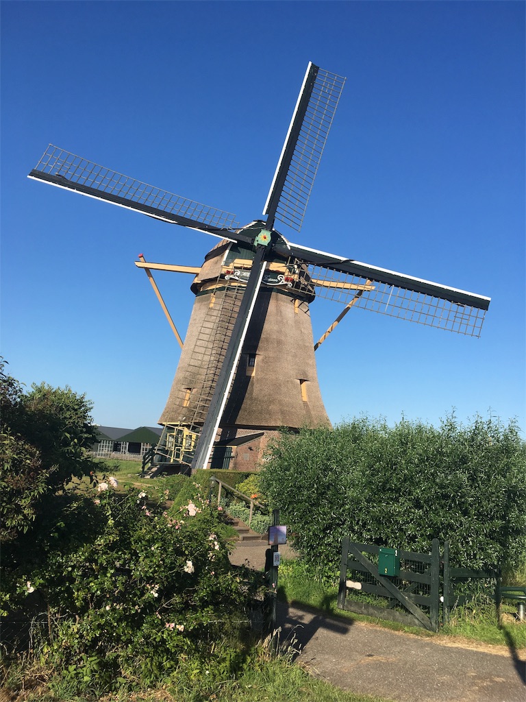 f:id:go_abroad:20180718201819j:image