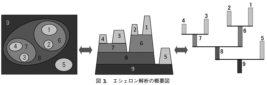 エシェロン解析の概要図
