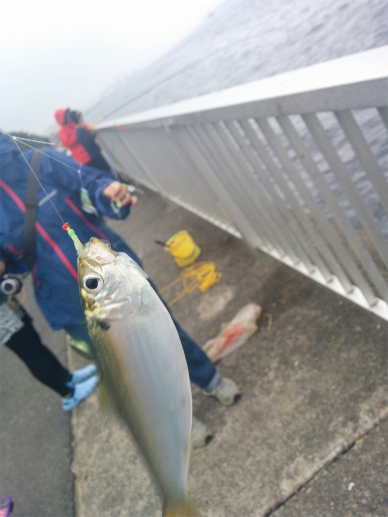 f:id:go_fishing2017:20170817151528j:image f:id:go_fishing2017:20170817151528j:image