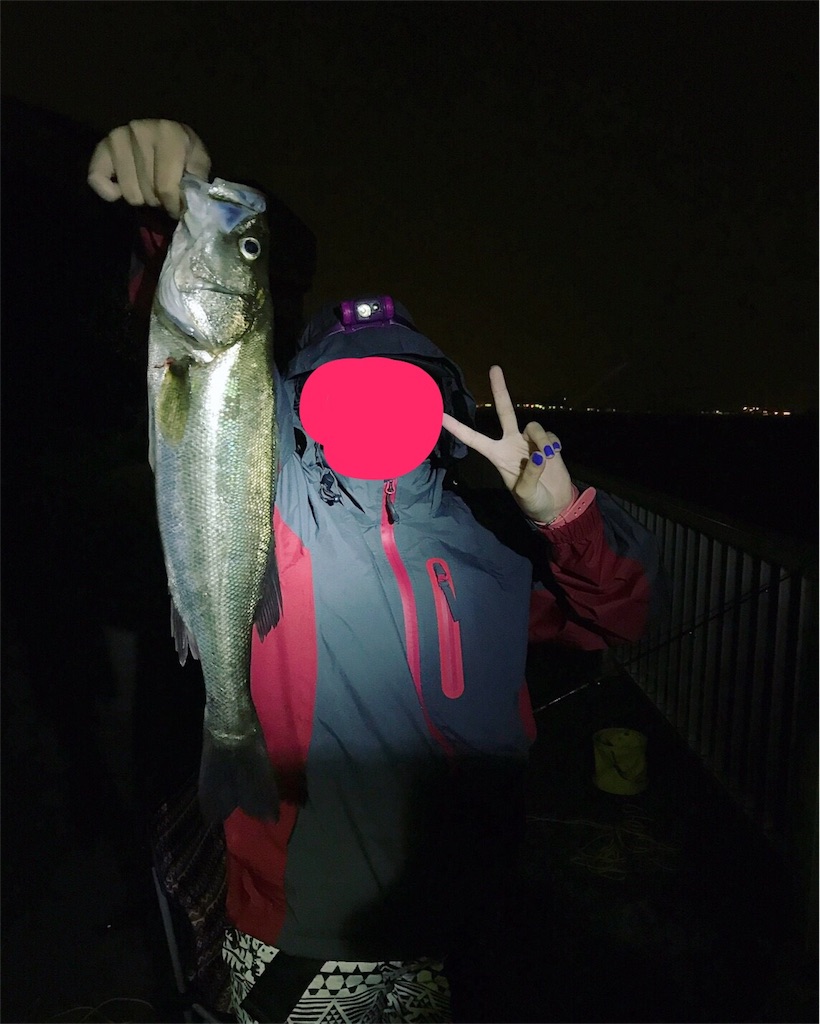 f:id:go_fishing2017:20170817202715j:image f:id:go_fishing2017:20170817202715j:image