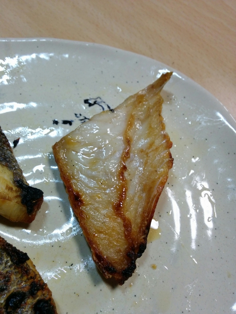 ふれーゆ裏で釣れたシーバス 食べてみた ねーさん団の釣り日記