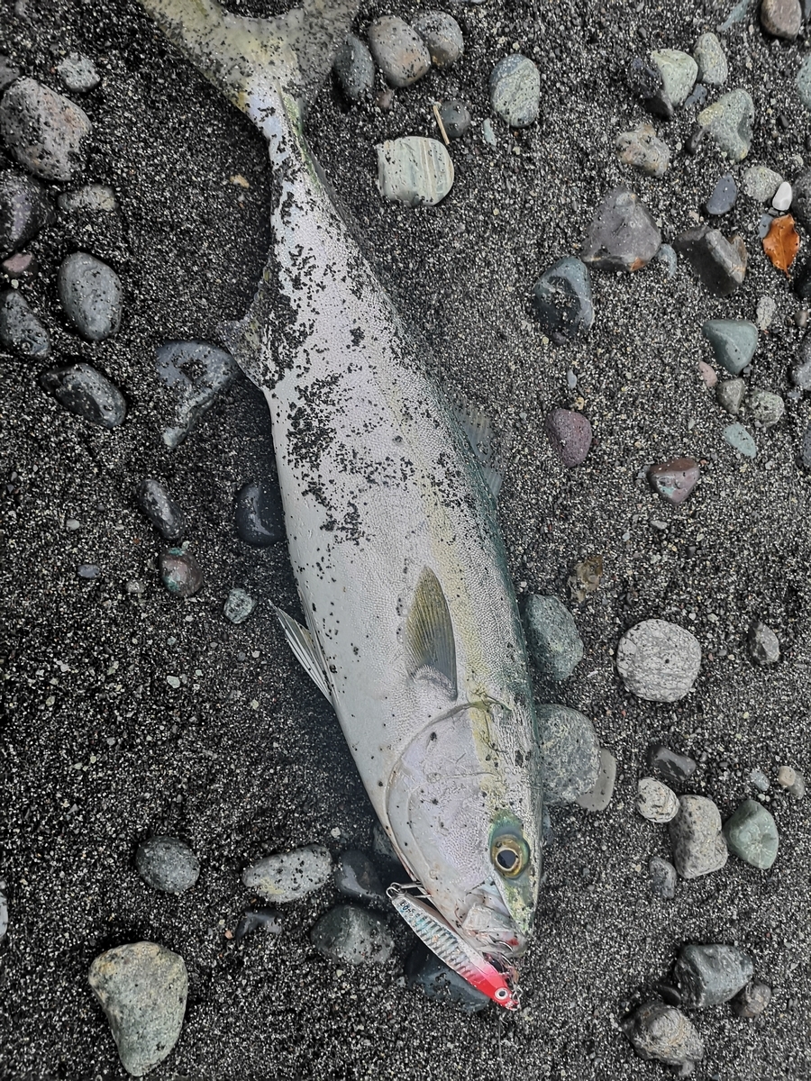 f:id:go_fishing2017:20190428170312j:plain f:id:go_fishing2017:20190428170312j:plain