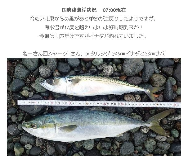 f:id:go_fishing2017:20190428170428j:plain f:id:go_fishing2017:20190428170428j:plain