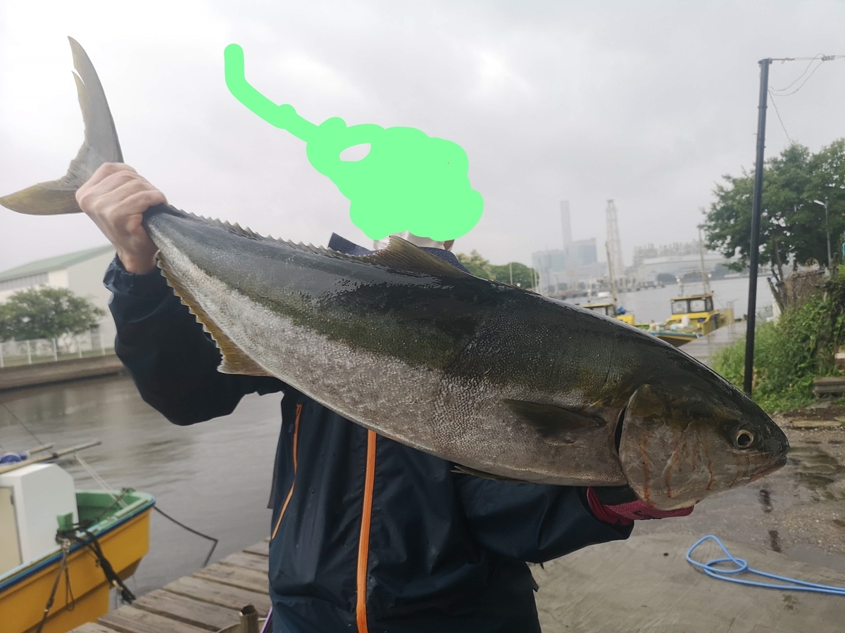f:id:go_fishing2017:20210801220332j:plain
