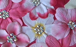 f:id:go_for_it_figureskater:20170727142500j:plain