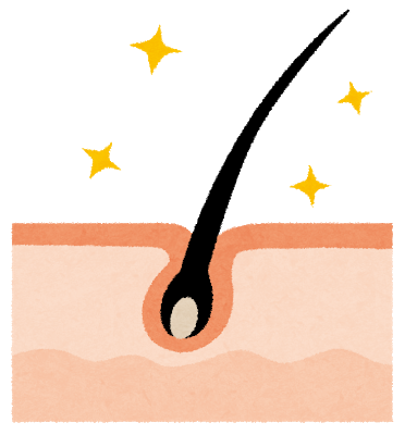 f:id:go_kuma:20180320223220p:plain f:id:go_kuma:20180320223220p:plain