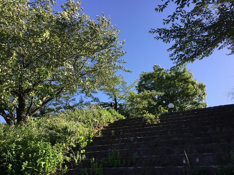 f:id:go_kuma:20180525215611j:plain