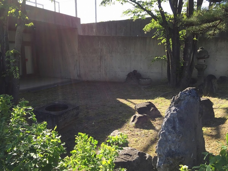 f:id:go_kuma:20180525215645j:plain