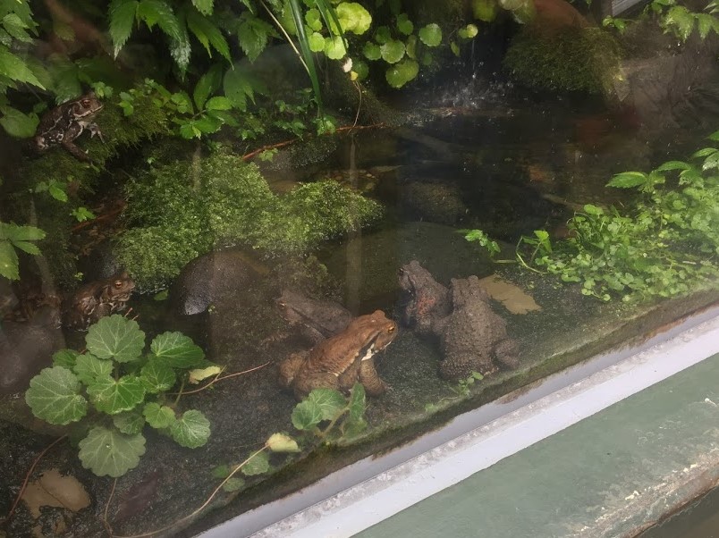 f:id:go_kuma:20180822224411j:plain f:id:go_kuma:20180822224411j:plain