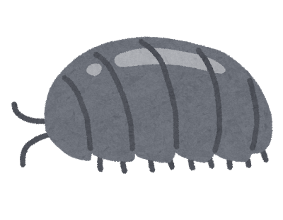 f:id:go_kuma:20180915221007p:plain f:id:go_kuma:20180915221007p:plain